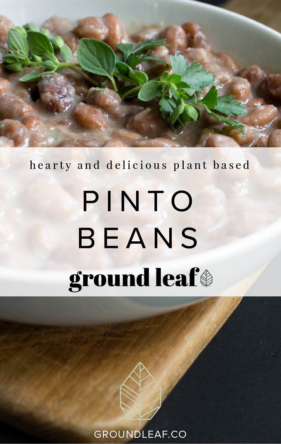 Make th eperfect pinto beans in your instant pot!