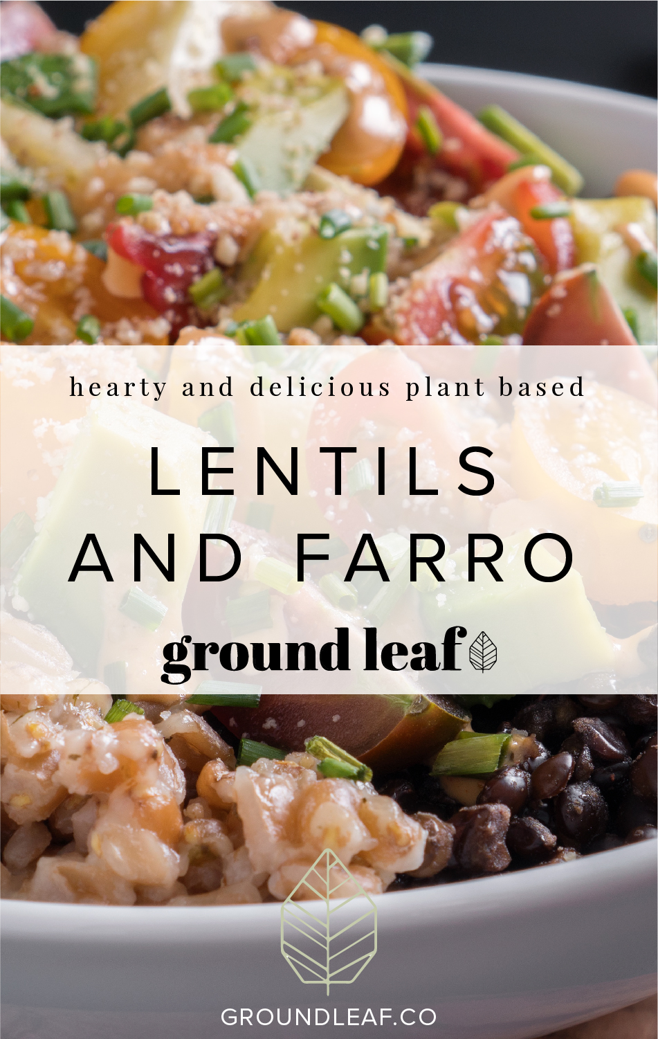 Delicious lentils and farro made in the instant pot! These recipes are smaller and will satisfy one to two people depending on what else is served and how hungry you are! 